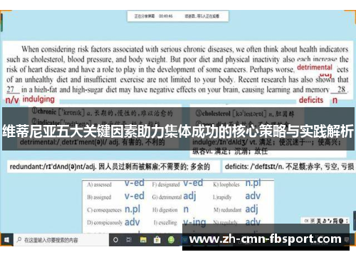 维蒂尼亚五大关键因素助力集体成功的核心策略与实践解析