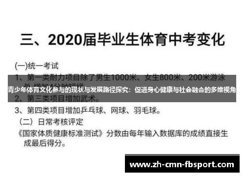 青少年体育文化参与的现状与发展路径探究：促进身心健康与社会融合的多维视角