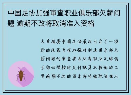 中国足协加强审查职业俱乐部欠薪问题 逾期不改将取消准入资格 中国足协加强审查职业俱乐部欠薪问题 逾期不改将取消准入资格