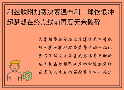 利兹联附加赛决赛温布利一球饮恨冲超梦想在终点线前再度无奈破碎